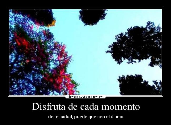 Disfruta de cada momento -
