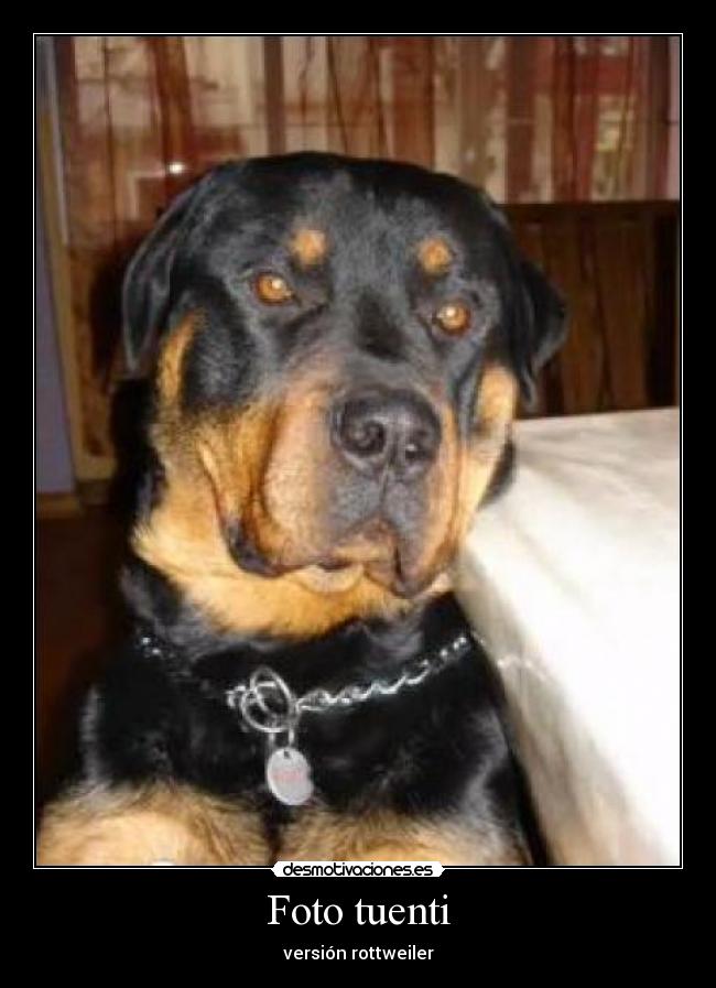 Foto tuenti - versión rottweiler