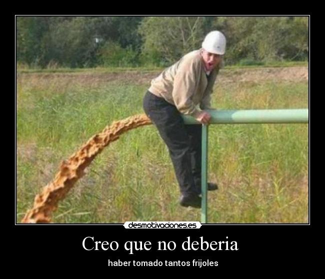 Creo que no deberia -