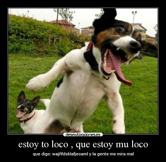 estoy to loco , que estoy mu loco -