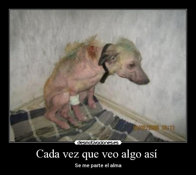 Cada vez que veo algo así  - 