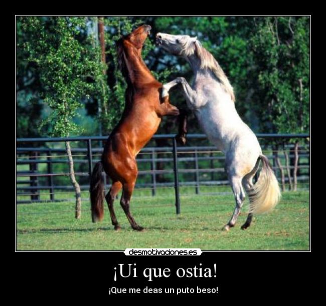 ¡Ui que ostia! - ¡Que me deas un puto beso!