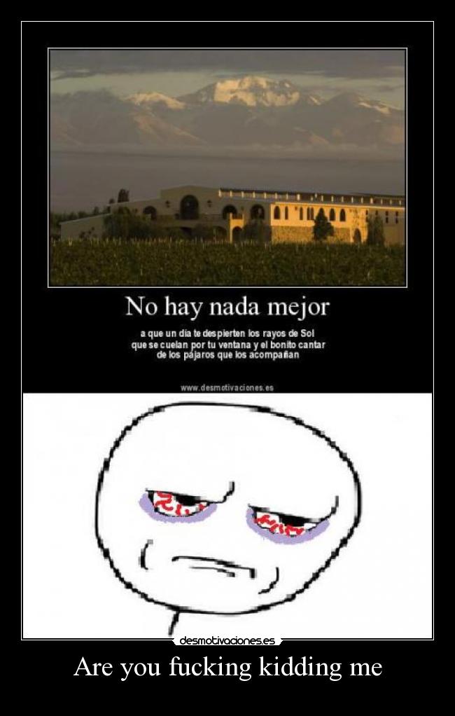 Are you fucking kidding me -