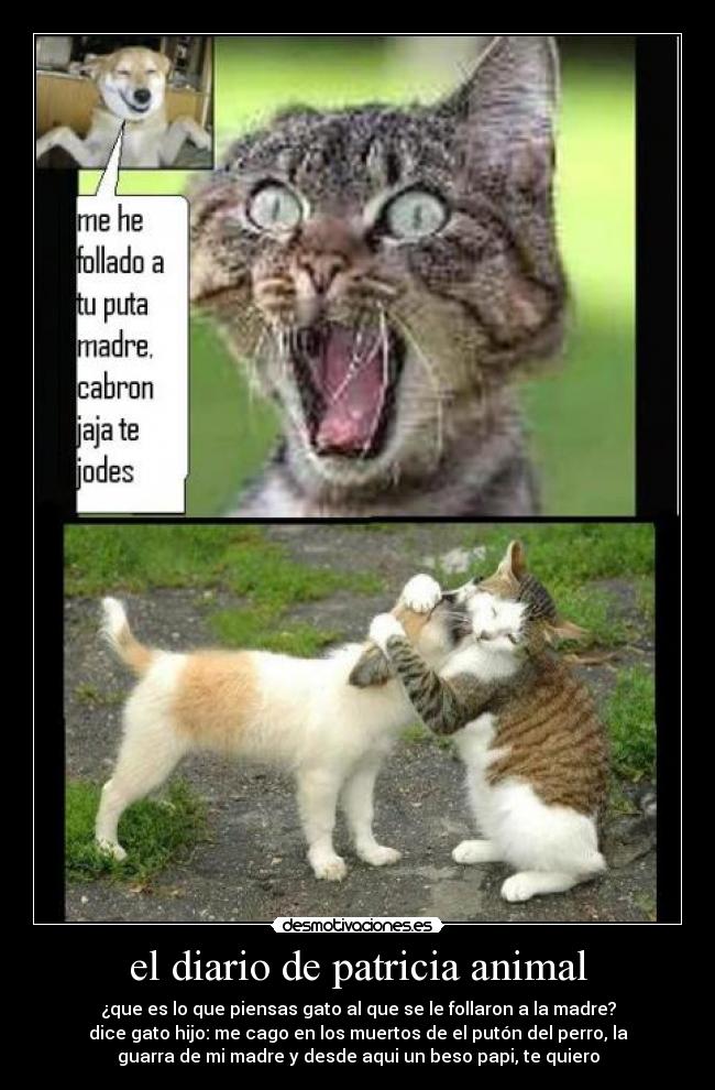 carteles animales desmotivaciones