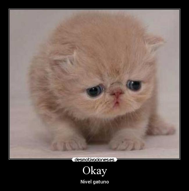 Okay - Nivel gatuno