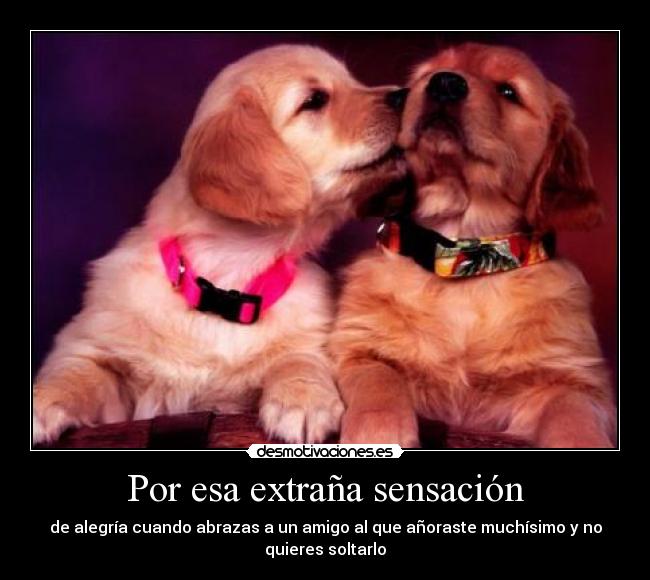 Por esa extraña sensación - 