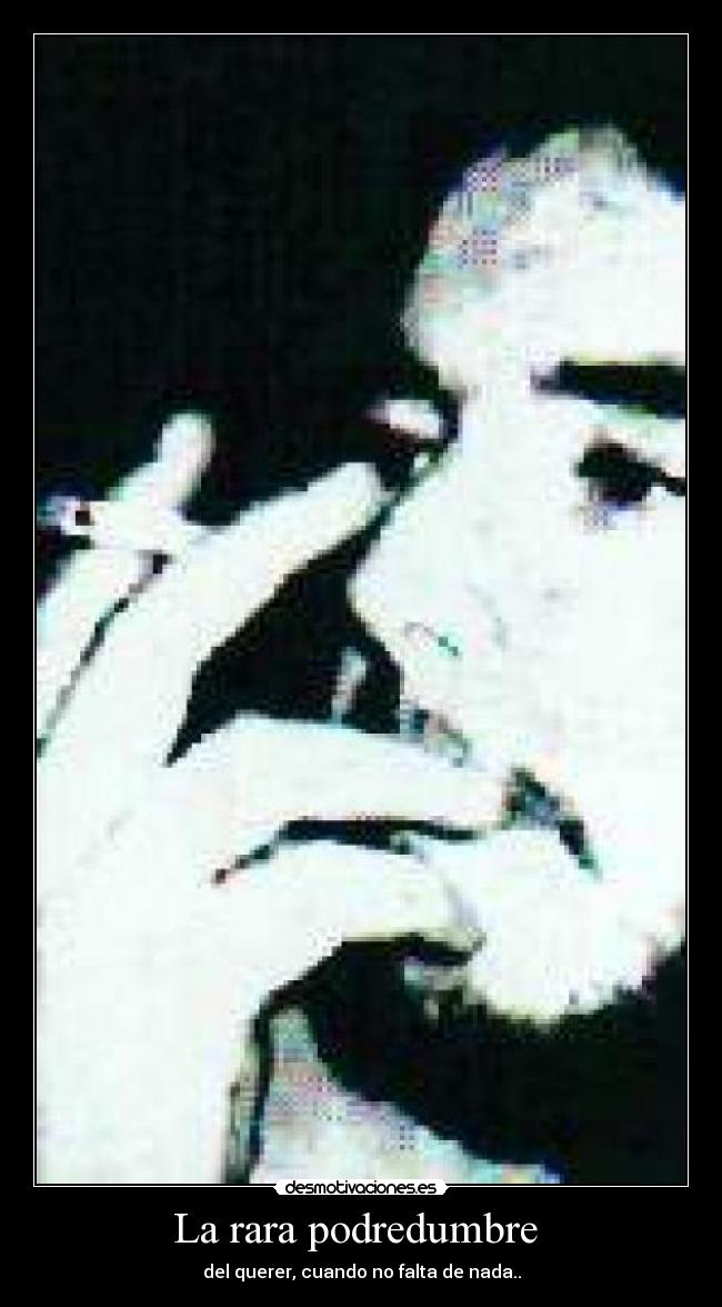 La rara podredumbre  - del querer, cuando no falta de nada..
