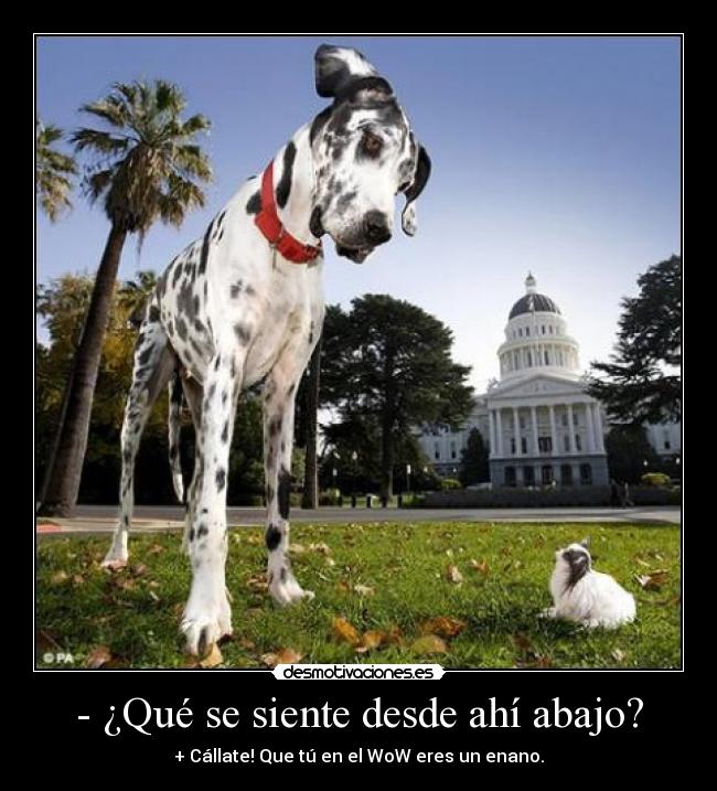 - ¿Qué se siente desde ahí abajo? - + Cállate! Que tú en el WoW eres un enano.