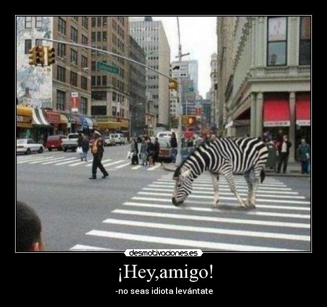 ¡Hey,amigo! - -no seas idiota levántate