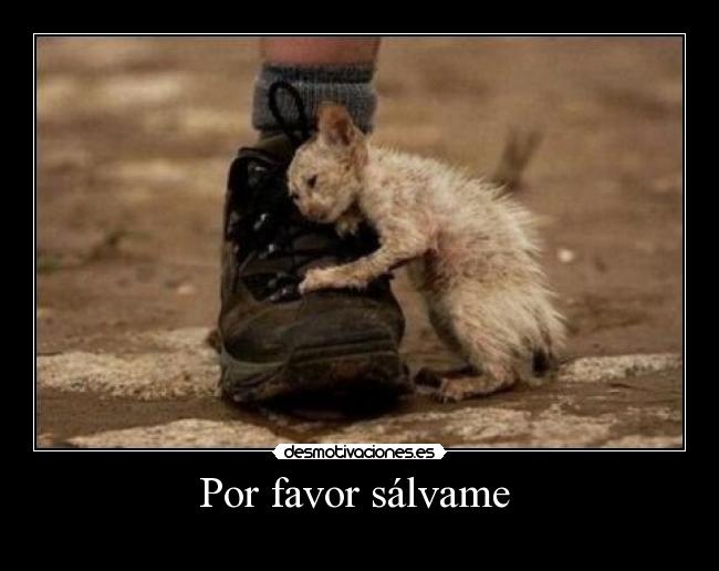 Por favor sálvame -