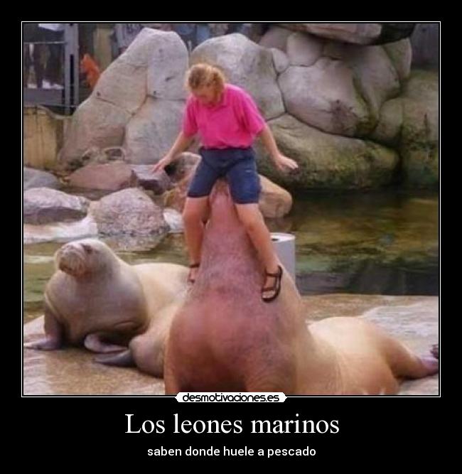 carteles 6r7bkir6 desmotivaciones