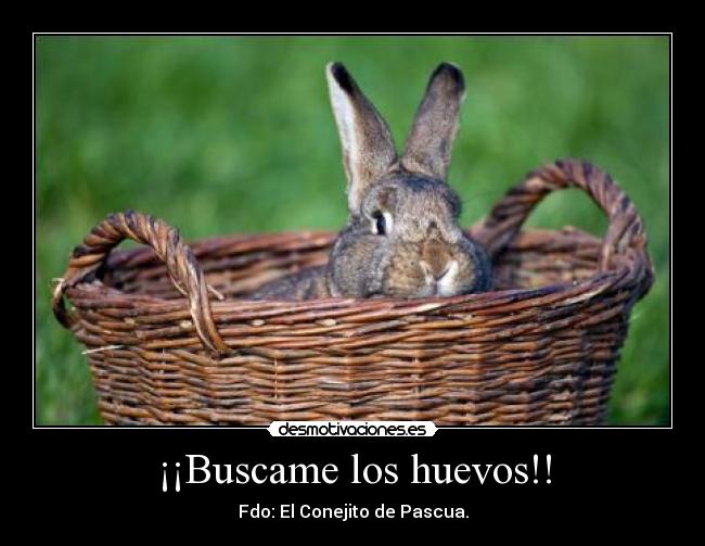 ¡¡Buscame los huevos!! - Fdo: El Conejito de Pascua.