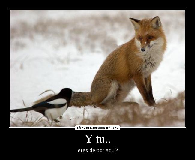 Y tu.. - eres de por aqui?