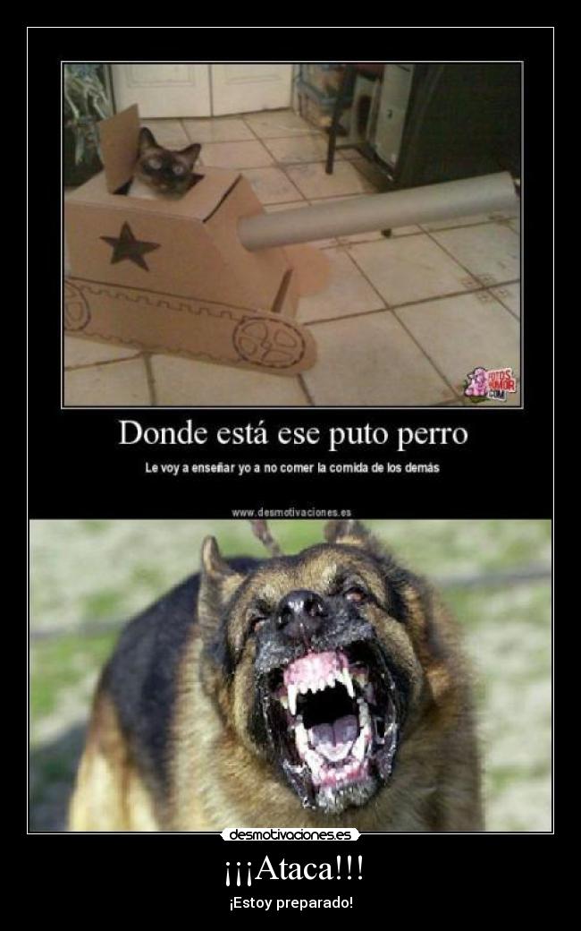 ¡¡¡Ataca!!! - 