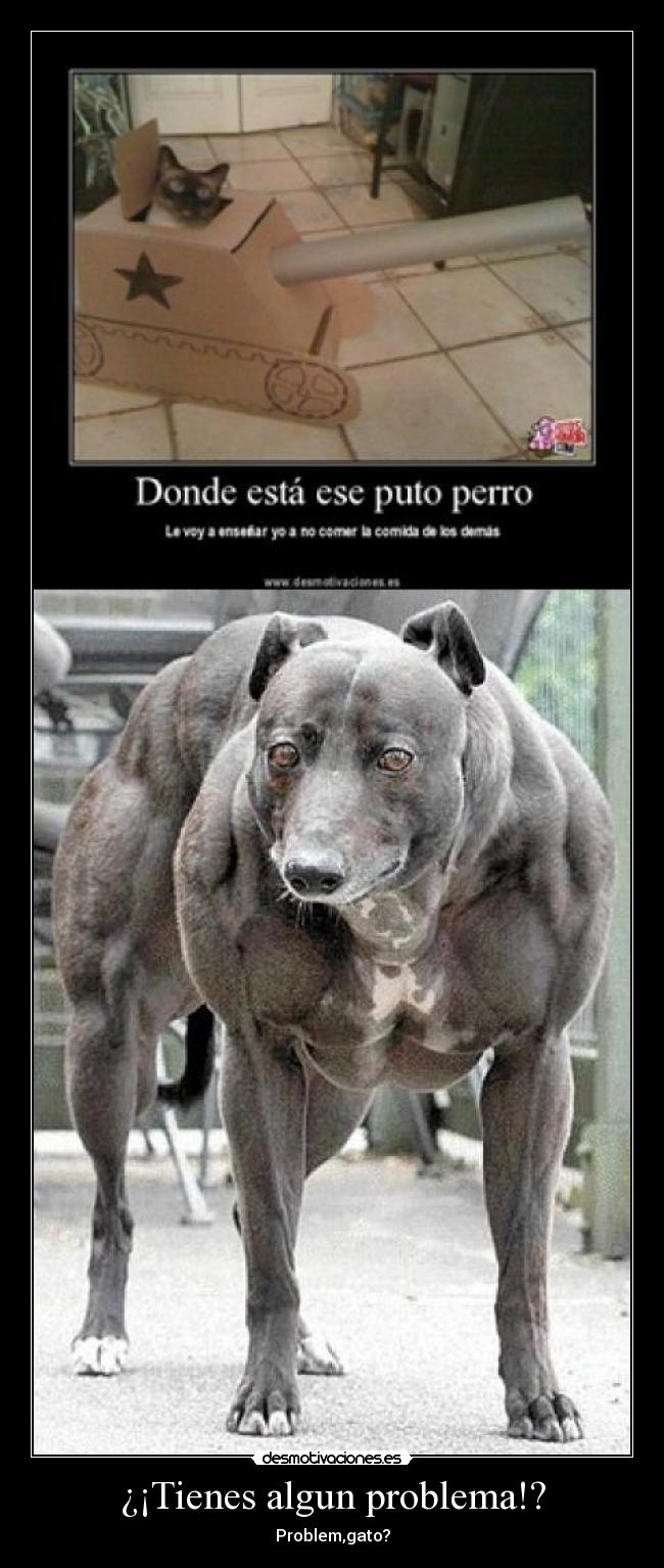 ¿¡Tienes algun problema!? -