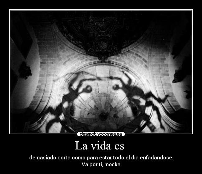 La vida es - demasiado corta como para estar todo el día enfadándose.
Va por ti, moska