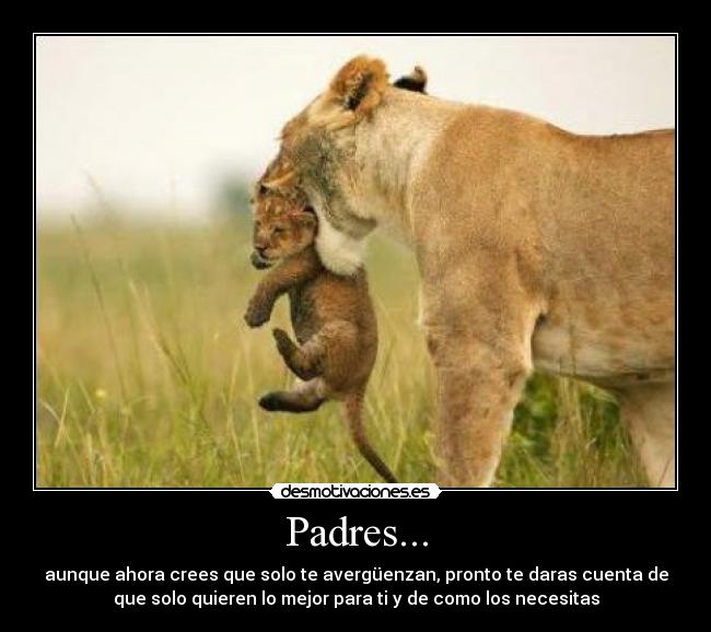 Padres... -