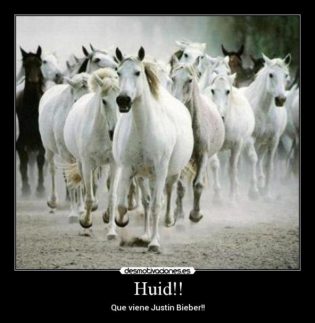 Huid!! - Que viene Justin Bieber!!