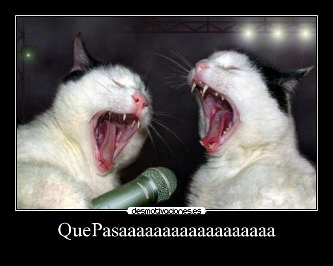 QuePasaaaaaaaaaaaaaaaaaa -