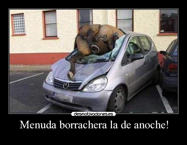 Menuda borrachera la de anoche! - 