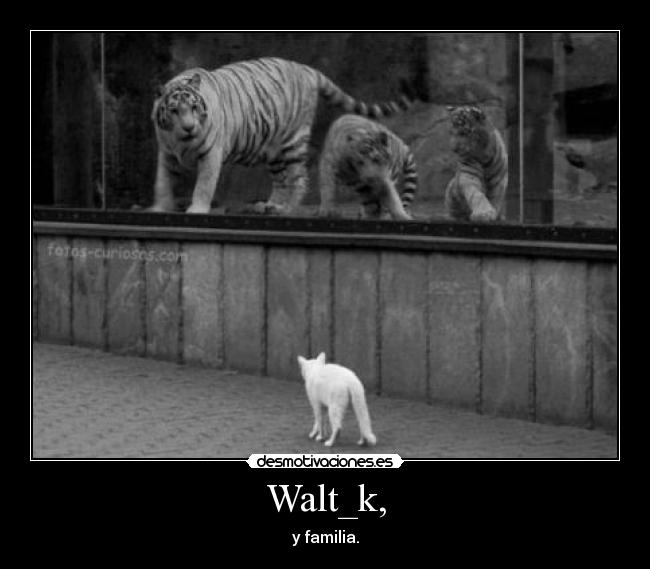Walt_k, - y familia.