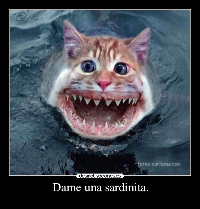 Dame una sardinita. -