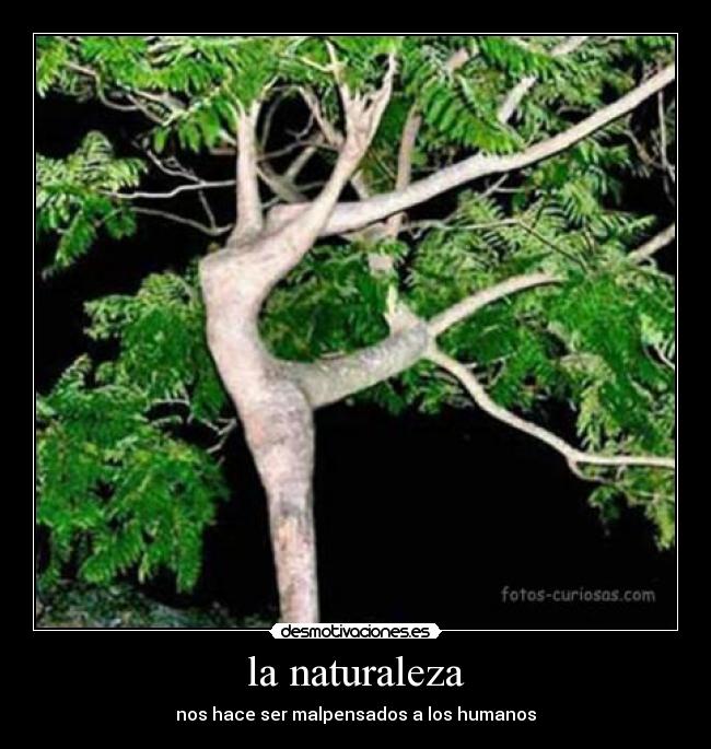 la naturaleza - nos hace ser malpensados a los humanos