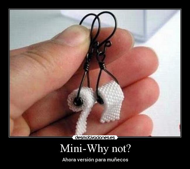 Mini-Why not? - 