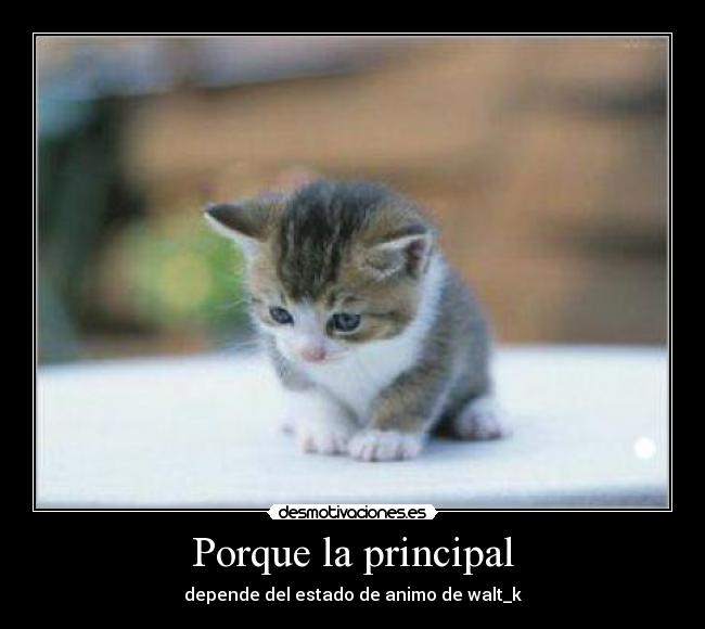 Porque la principal - depende del estado de animo de walt_k