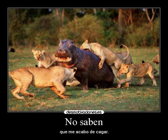 No saben - que me acabo de cagar.