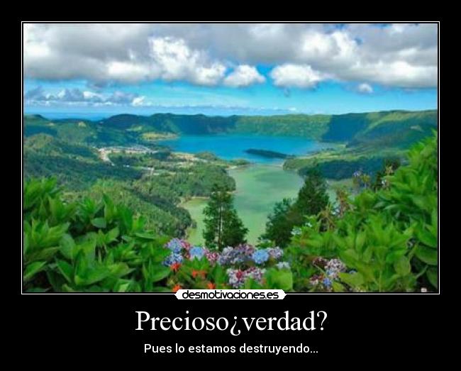 Precioso¿verdad? -