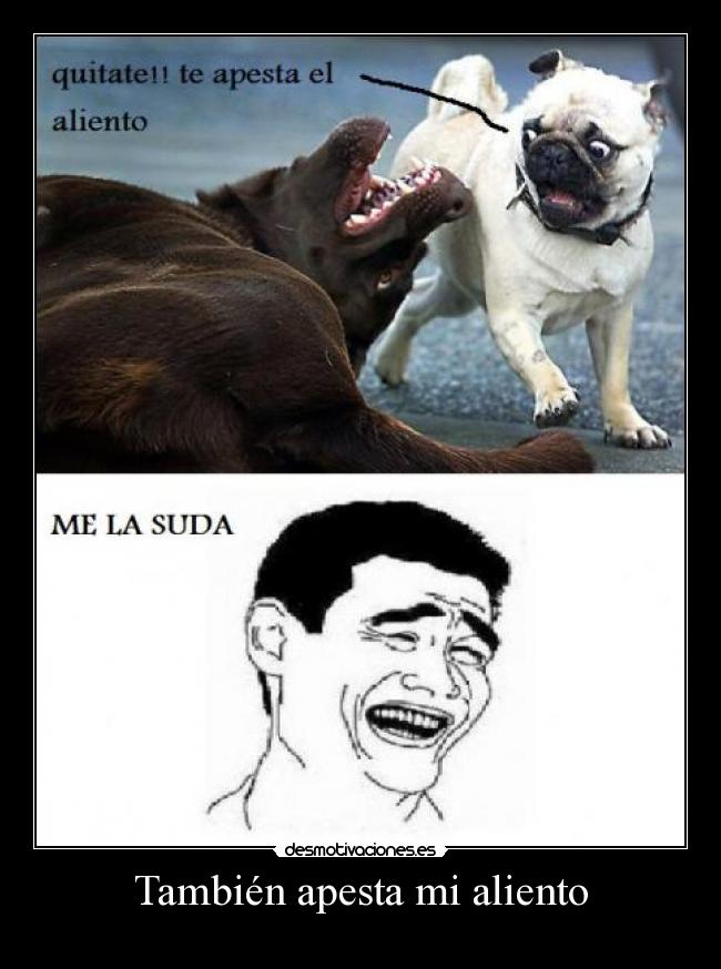 También apesta mi aliento -