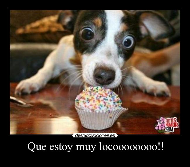Que estoy muy locoooooooo!! - 