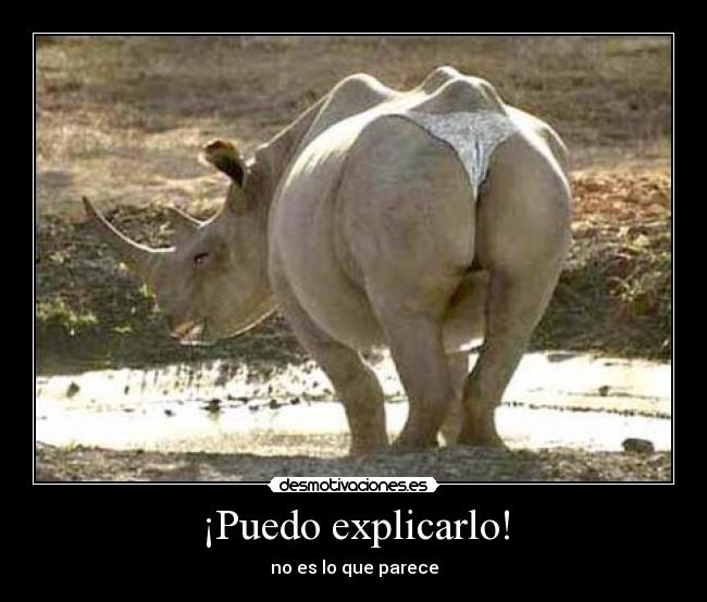 ¡Puedo explicarlo! -