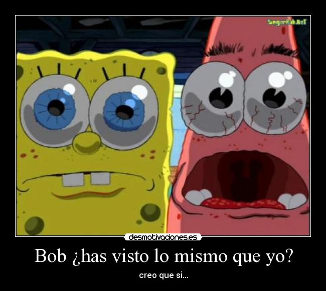 Bob ¿has visto lo mismo que yo? -