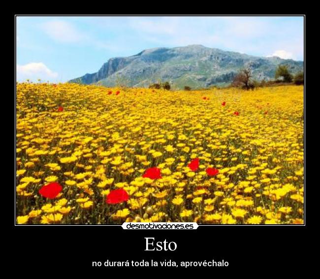 Esto - no durará toda la vida, aprovéchalo