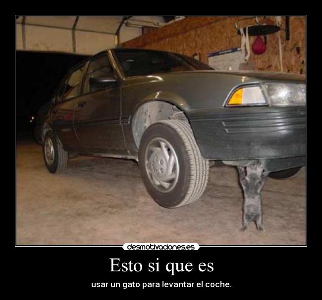 Esto si que es - usar un gato para levantar el coche.