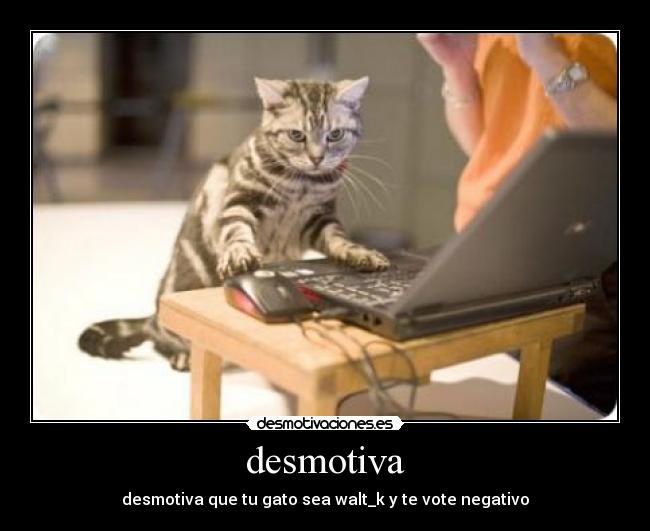 desmotiva - desmotiva que tu gato sea walt_k y te vote negativo