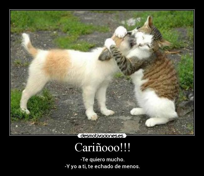 Cariñooo!!! - -Te quiero mucho.
-Y yo a ti, te echado de menos.