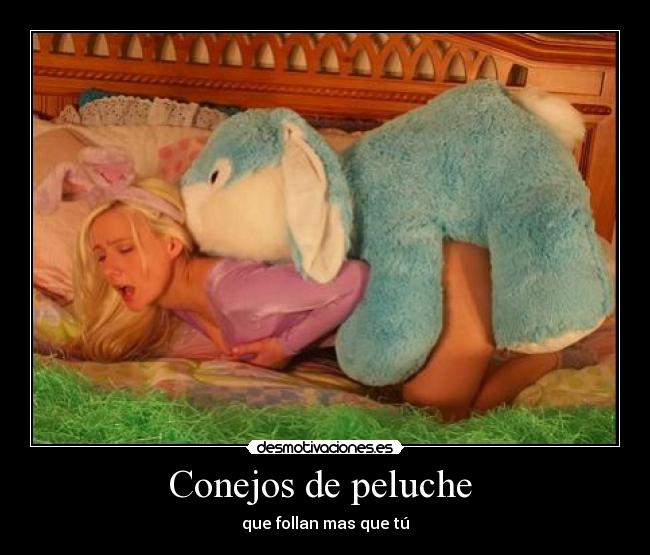Conejos de peluche -