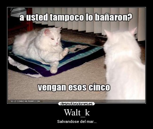 Walt_k -