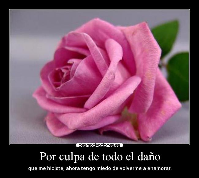 Por culpa de todo el daño - 