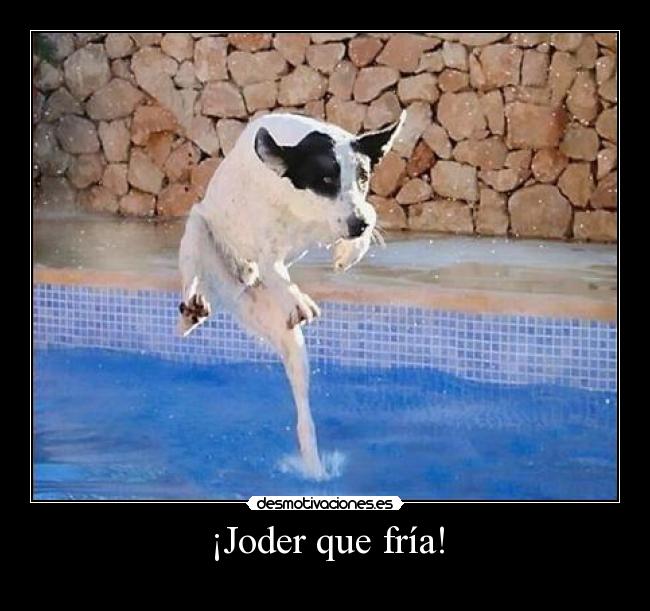 ¡Joder que fría! - 