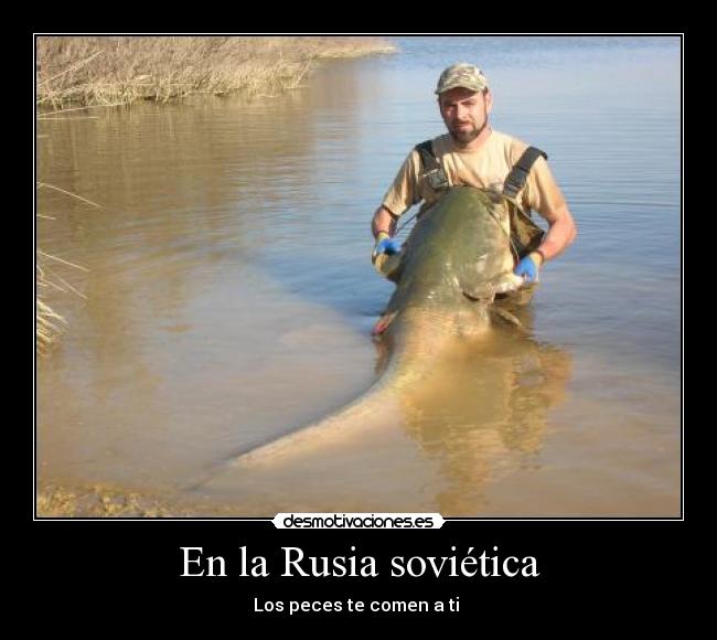En la Rusia soviética - Los peces te comen a ti
