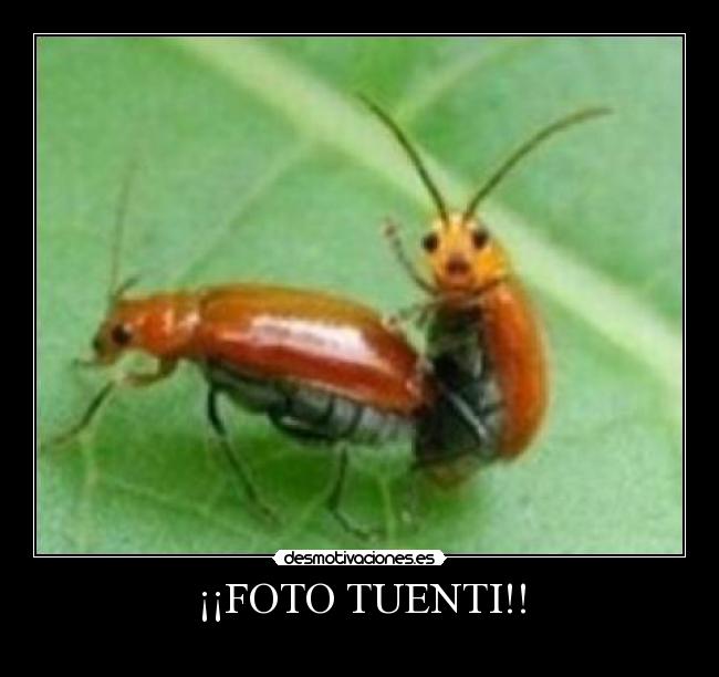 ¡¡FOTO TUENTI!! -