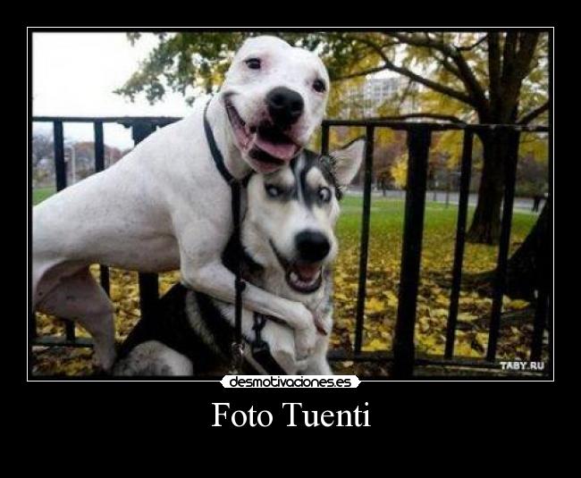 Foto Tuenti - 