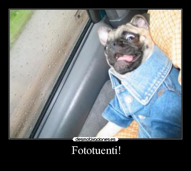 Fototuenti! - 