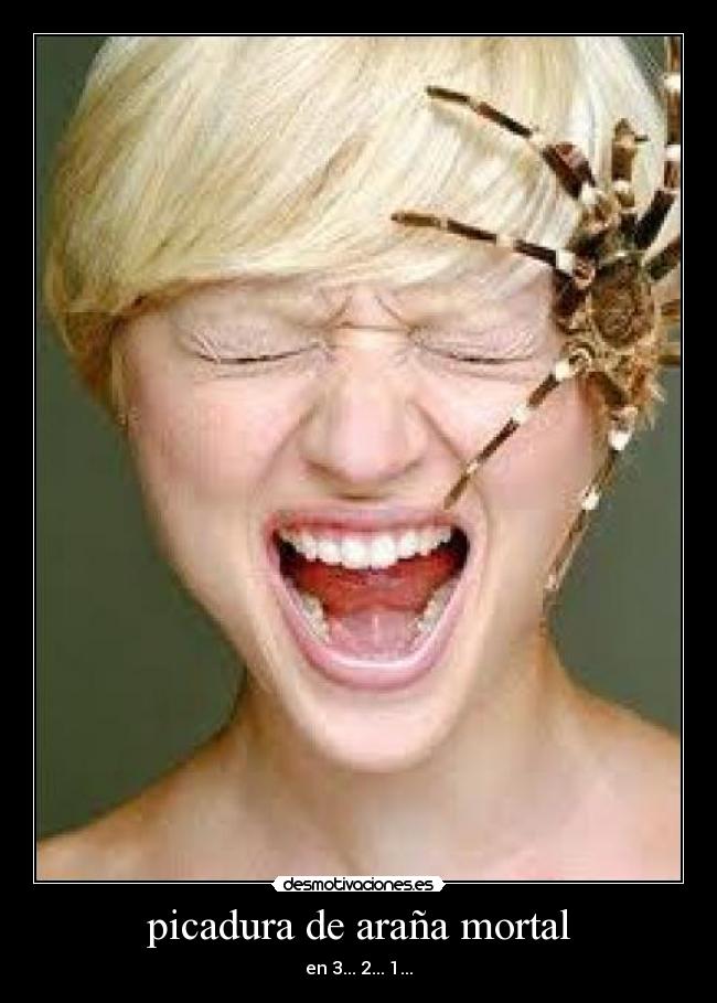 picadura de araña mortal -