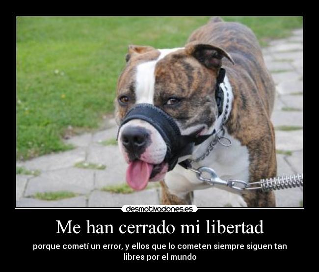 Me han cerrado mi libertad - porque cometí un error, y ellos que lo cometen siempre siguen tan
libres por el mundo