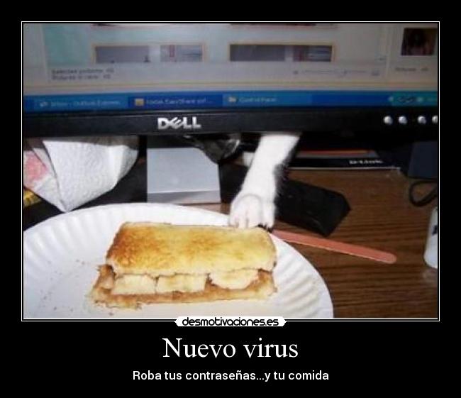 Nuevo virus -